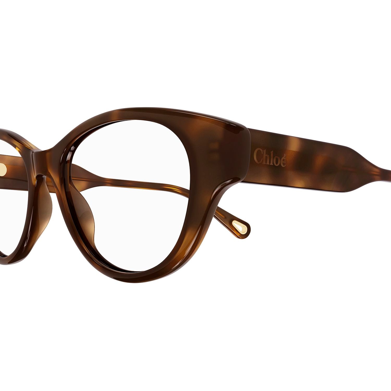 CH0199O Havana recycled acetate Optical Frames - Shiny Medium Havana
