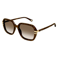 CH0204S Havana recycled acetate Sunglasses - Shiny Dark Havana