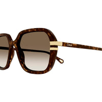 CH0204S Havana recycled acetate Sunglasses - Shiny Dark Havana