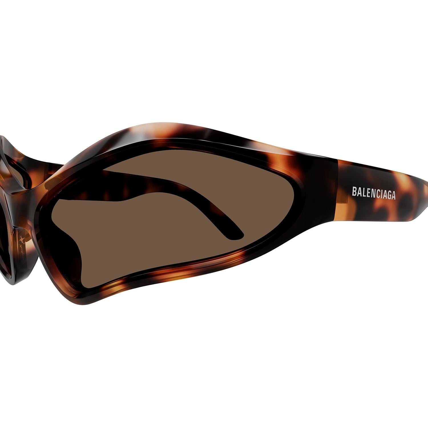 BB0314S Havana bio injection Sunglasses - Shiny Spotted Havana