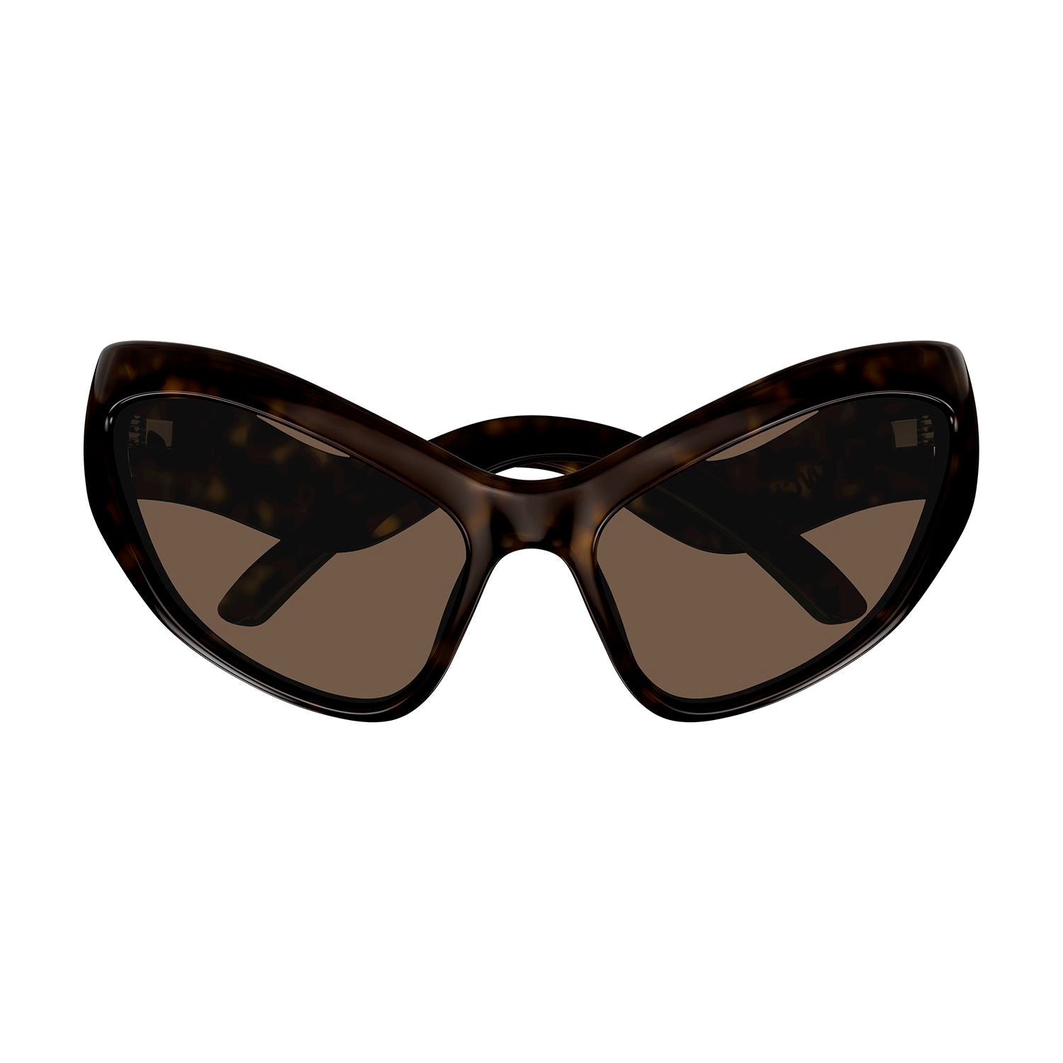 BB0319S Havana bio injection Sunglasses - Shiny Dark Havana