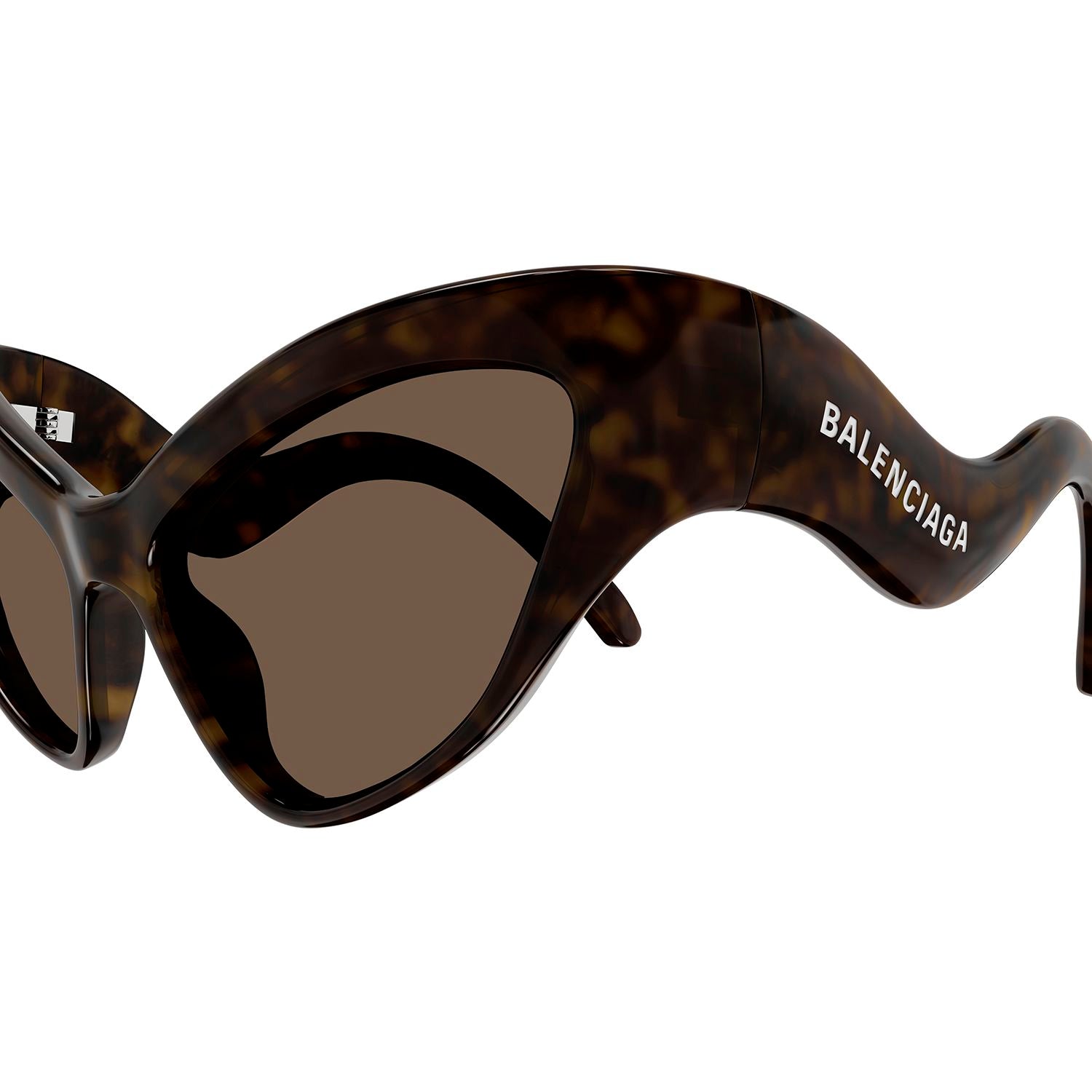 BB0319S Havana bio injection Sunglasses - Shiny Dark Havana