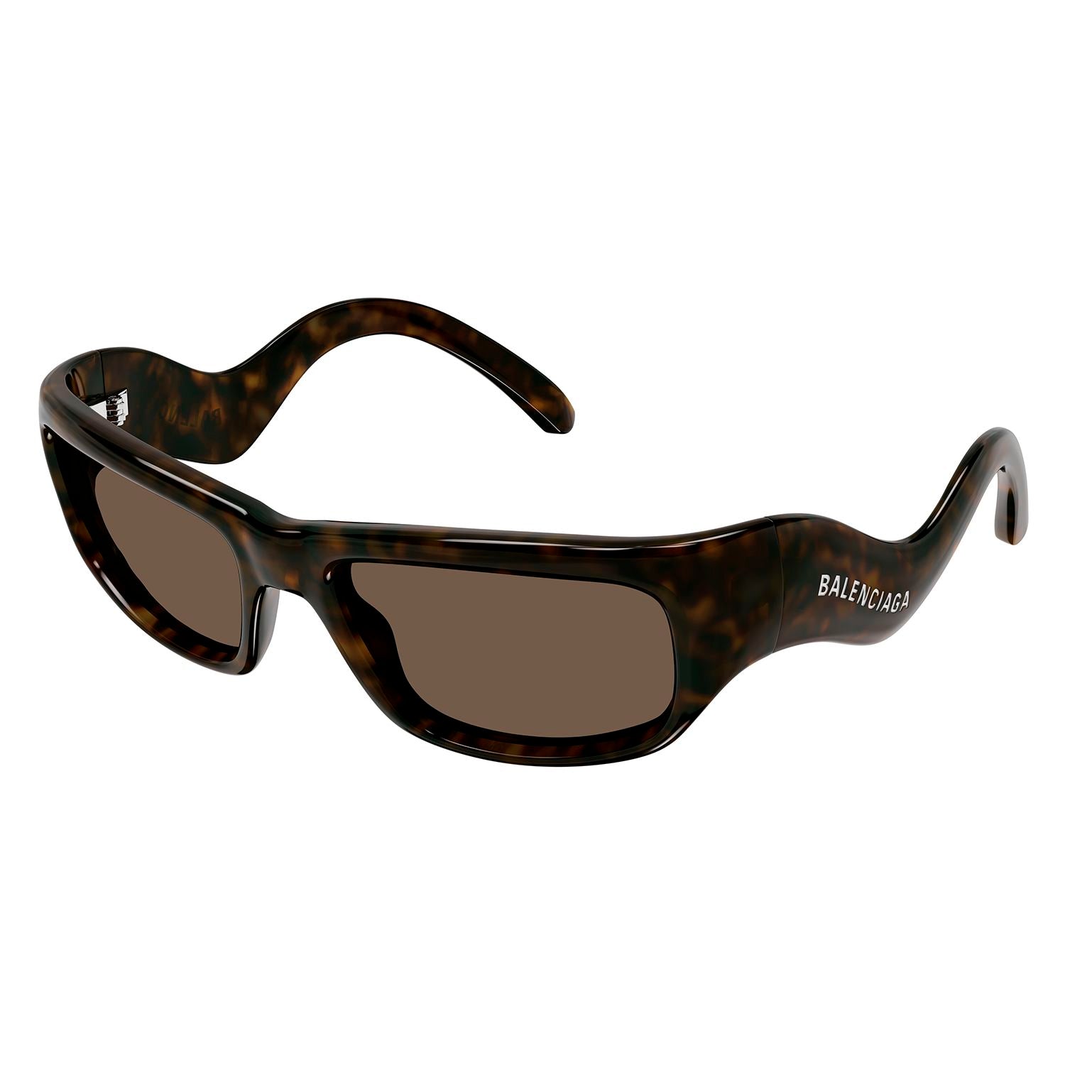 BB0320S Havana bio injection Sunglasses - Shiny Dark Havana