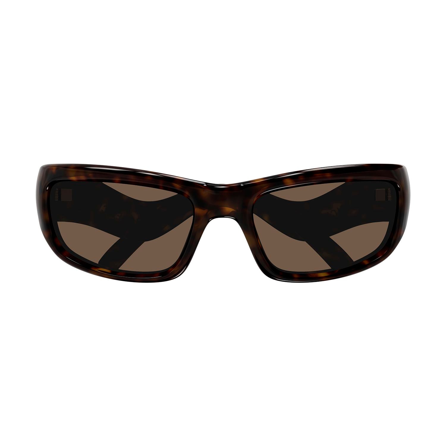 BB0320S Havana bio injection Sunglasses - Shiny Dark Havana