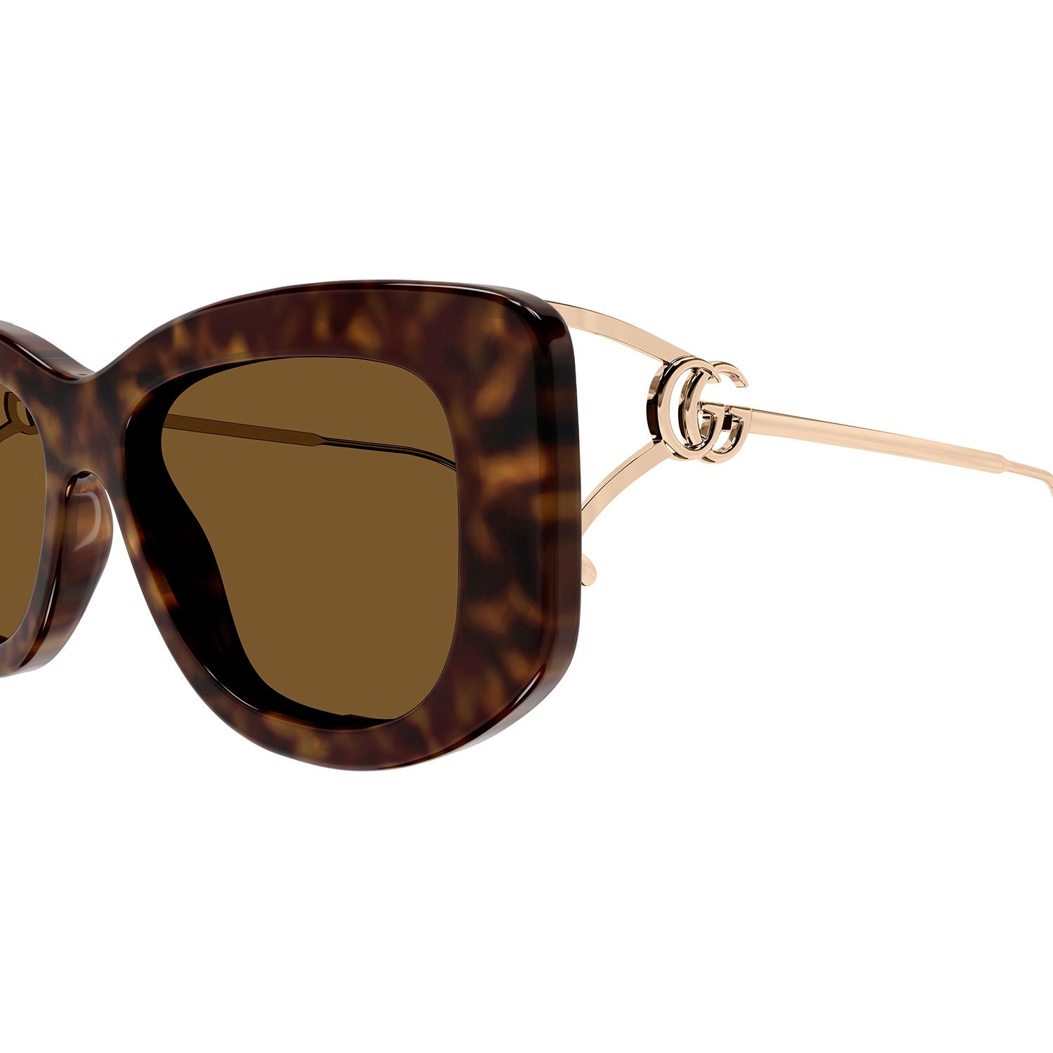 GG1566SA Havana injection Sunglasses - Shiny Dark Havana