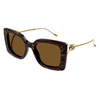GG1567SA Havana injection Sunglasses - Shiny Dark Havana