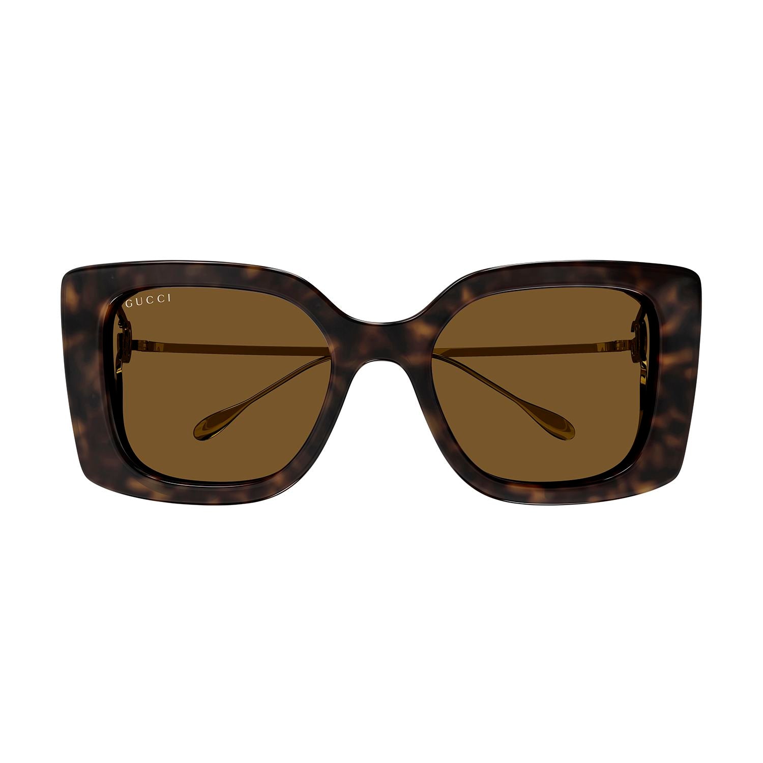 GG1567SA Havana injection Sunglasses - Shiny Dark Havana