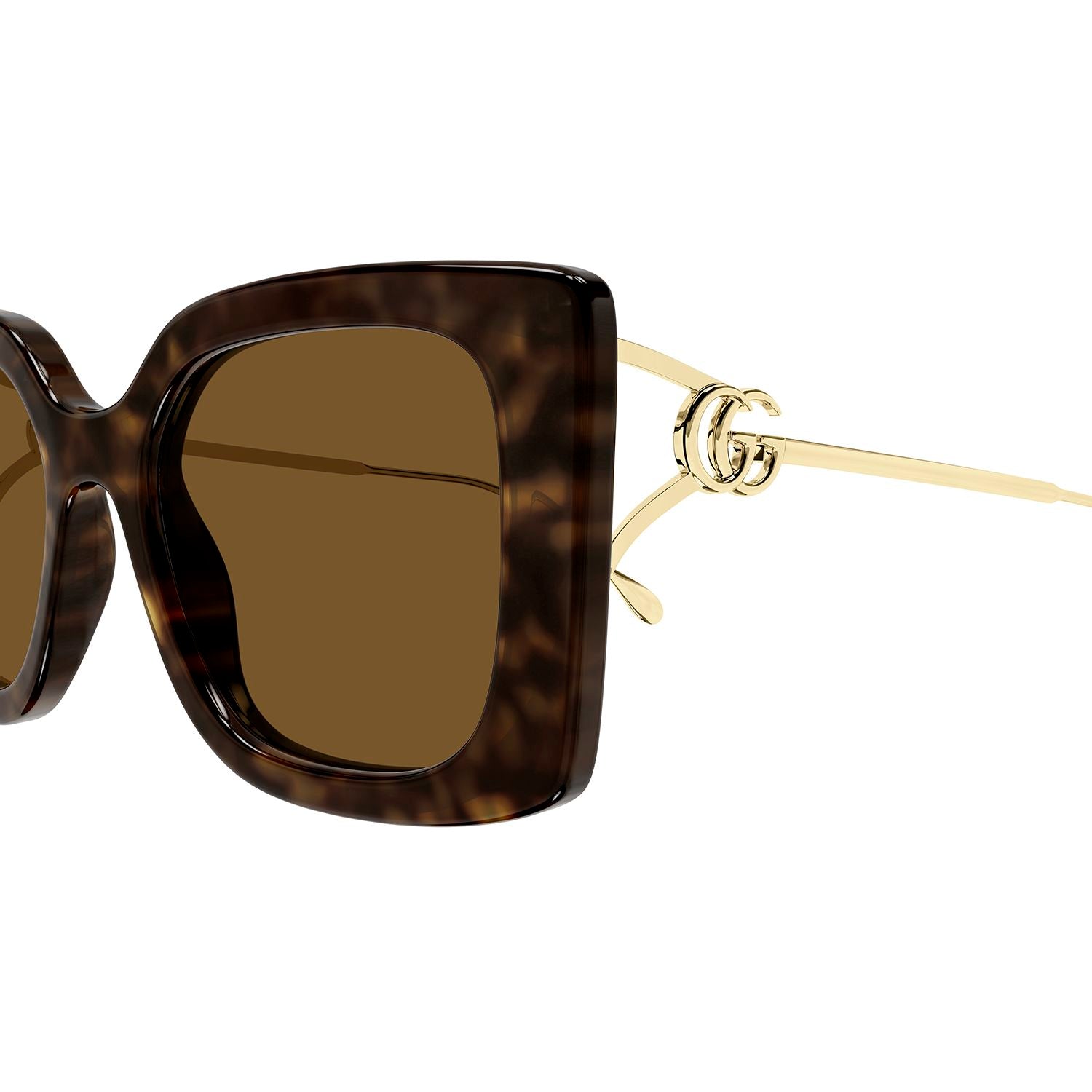 GG1567SA Havana injection Sunglasses - Shiny Dark Havana