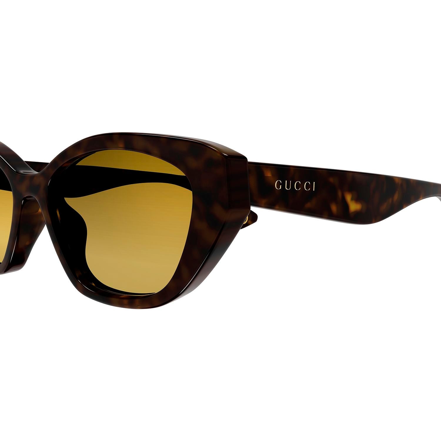 GG1638S Havana recycled acetate Sunglasses - Shiny Dark Havana