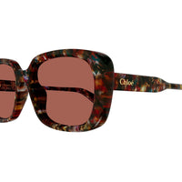 CH0225SK Havana recycled acetate Sunglasses - Harlequin Havana