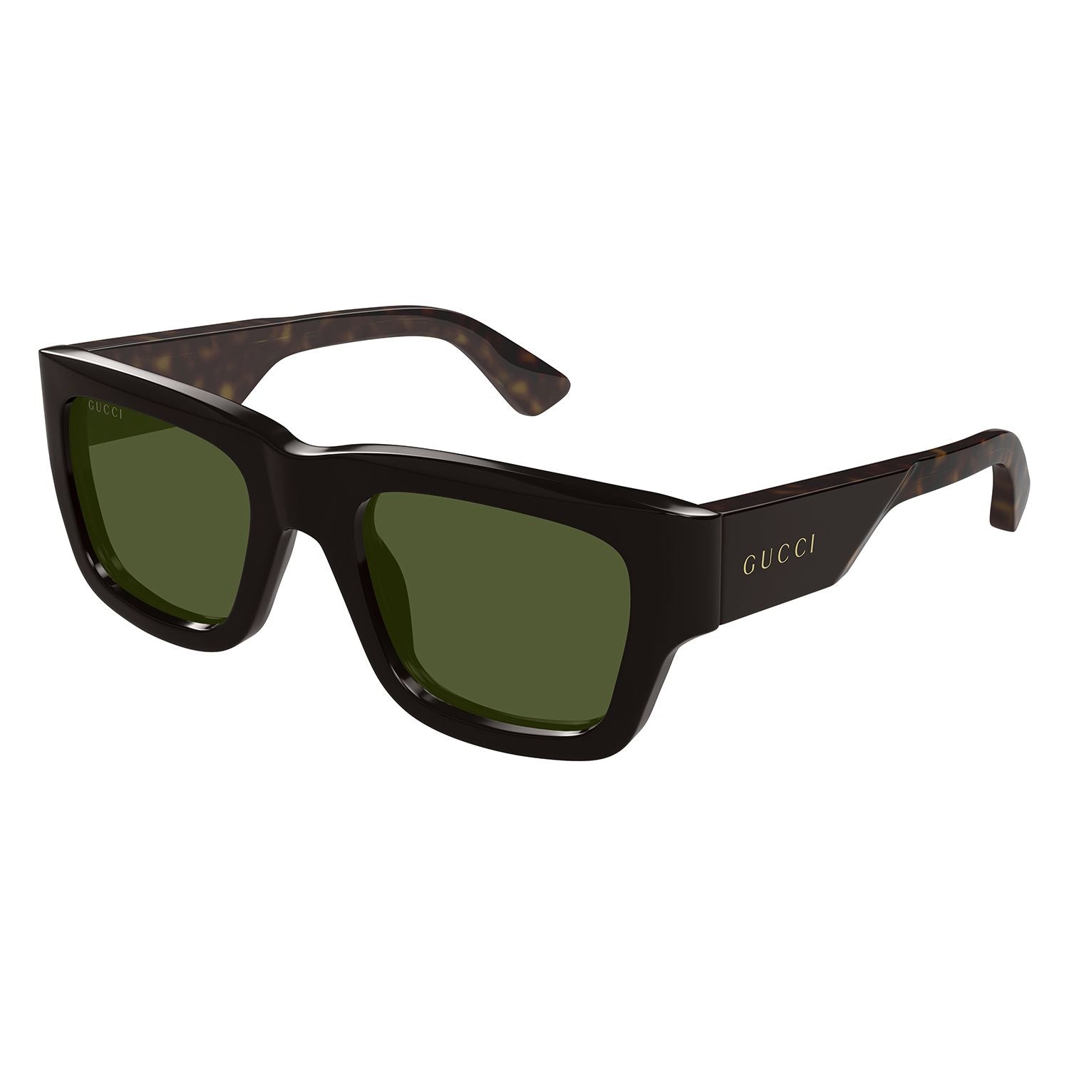 GG1668S Brown recycled acetate Sunglasses - Shiny Solid Brown