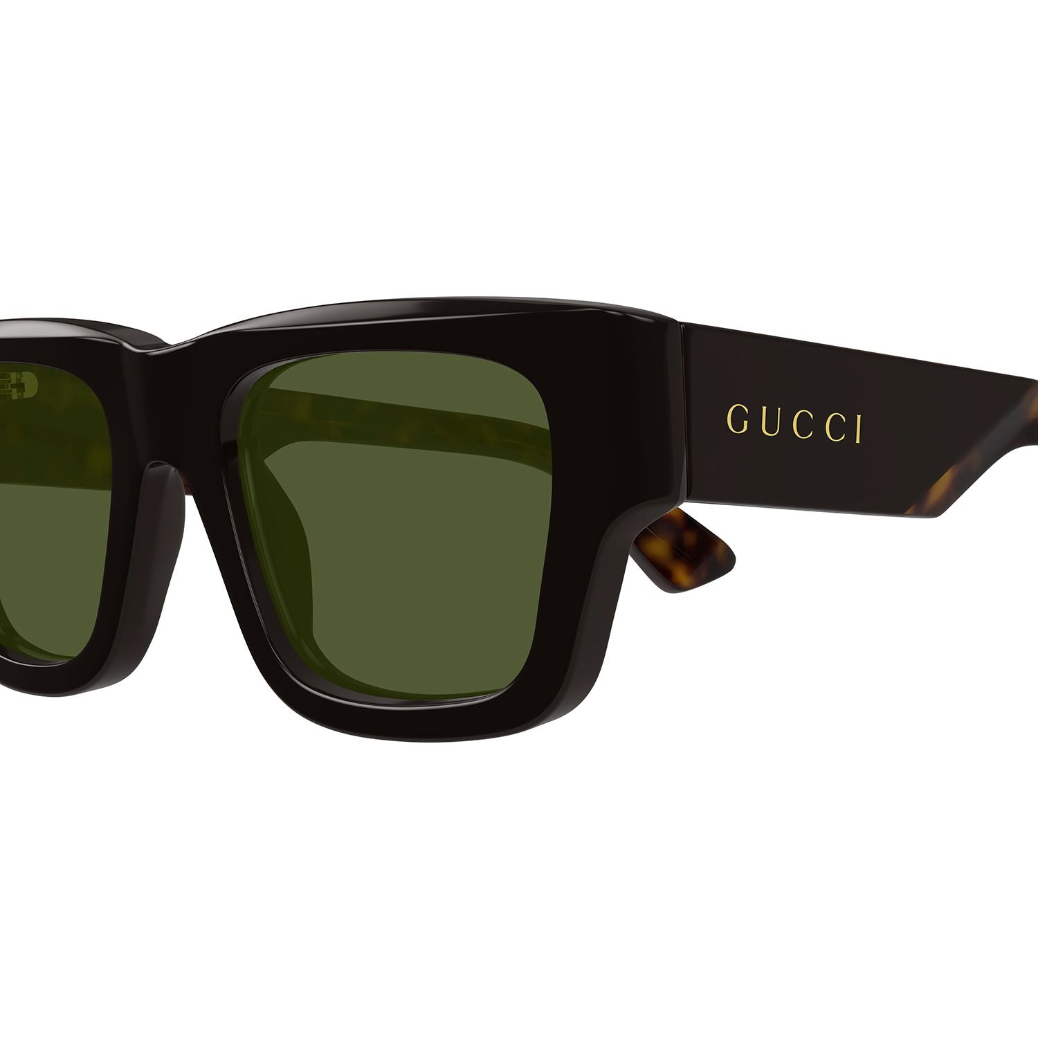 GG1668S Brown recycled acetate Sunglasses - Shiny Solid Brown
