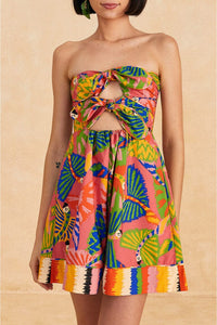 Robe courte Graphic Macaws en coton - Multicolore