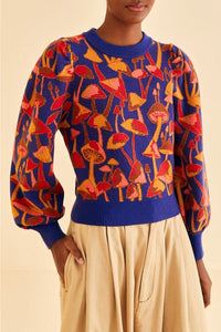 Pull Mushroom Sketch en maille - Bleu & rouge