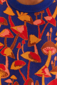 Pull Mushroom Sketch en maille - Bleu & rouge