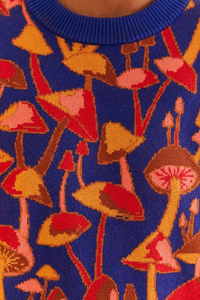 Pull Mushroom Sketch en maille - Bleu & rouge