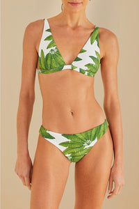 Bas de bikini taille basse Palm Fan - Vert