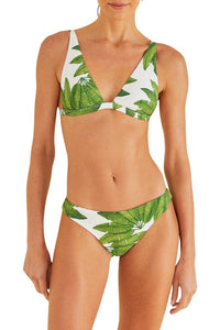 Bas de bikini taille basse Palm Fan - Vert