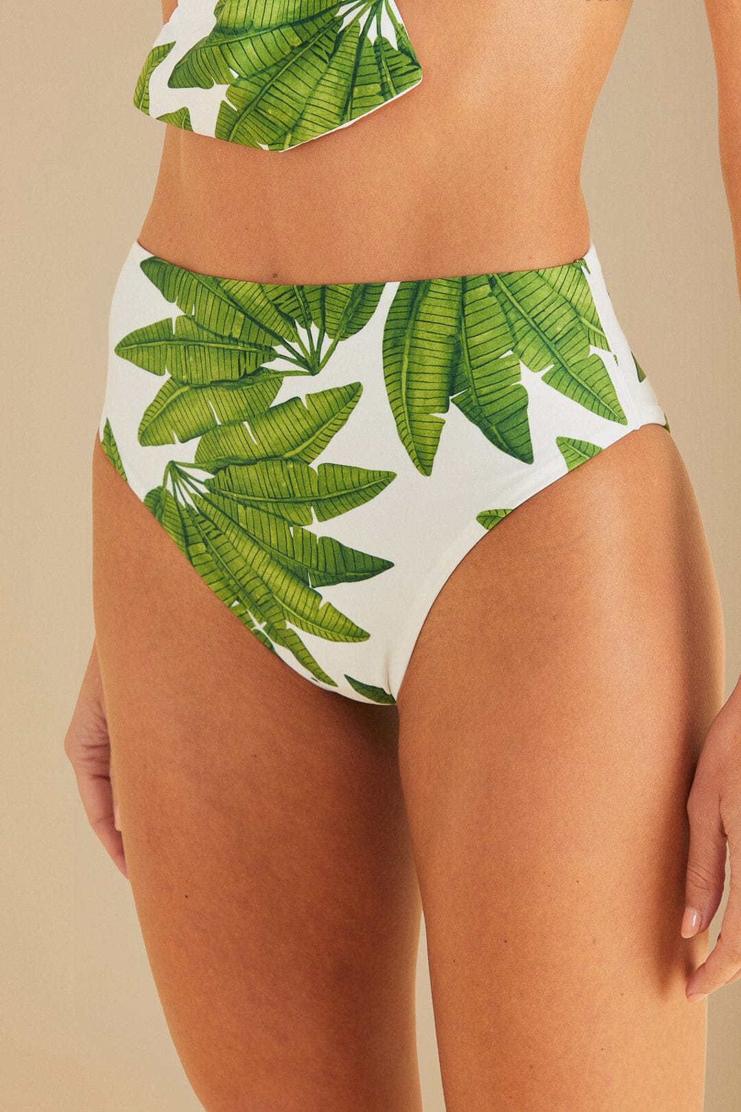 Bas de bikini taille haute Palm Fan - Vert