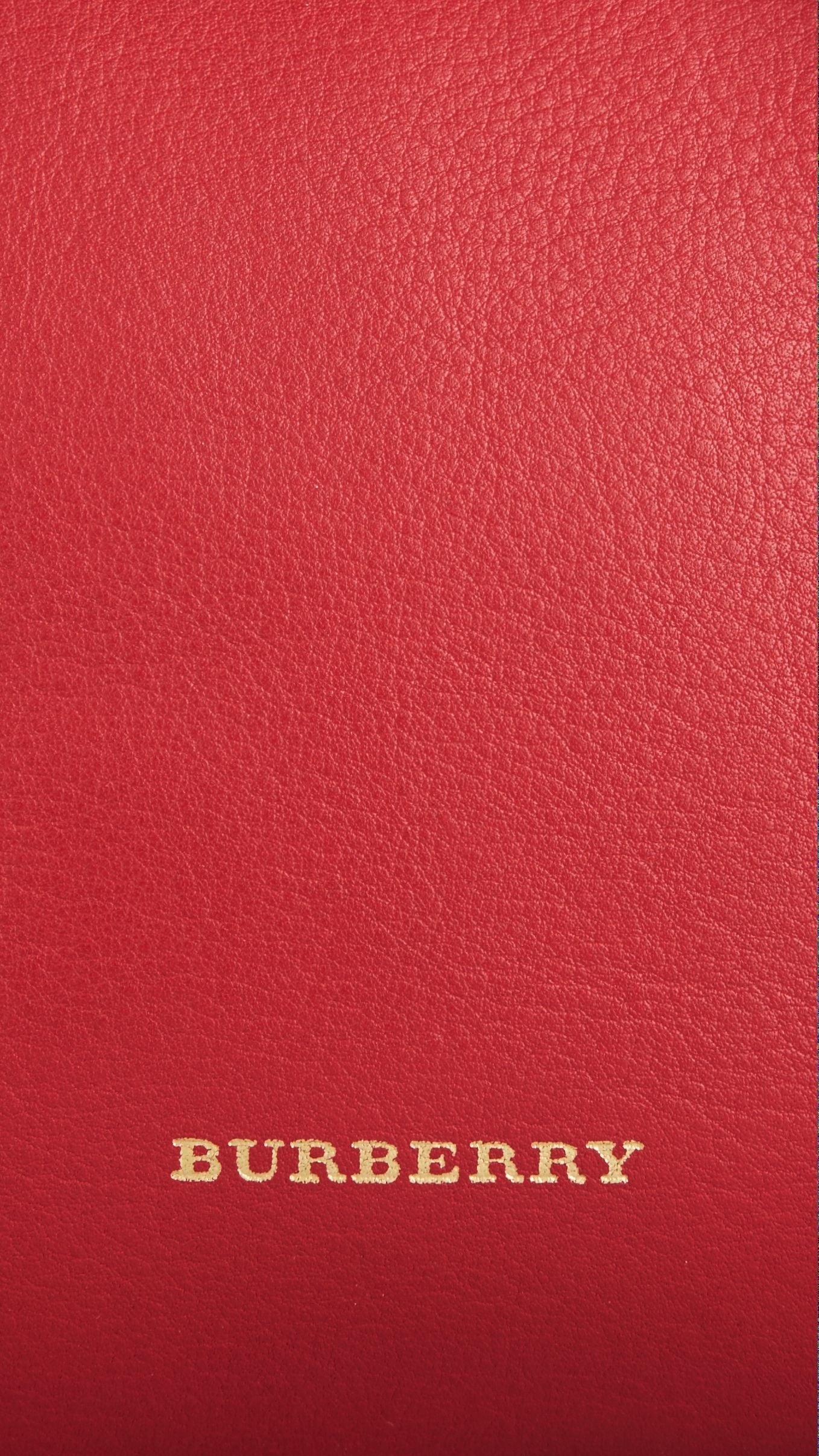 Petit sac The Alchester en cuir - Parade Red