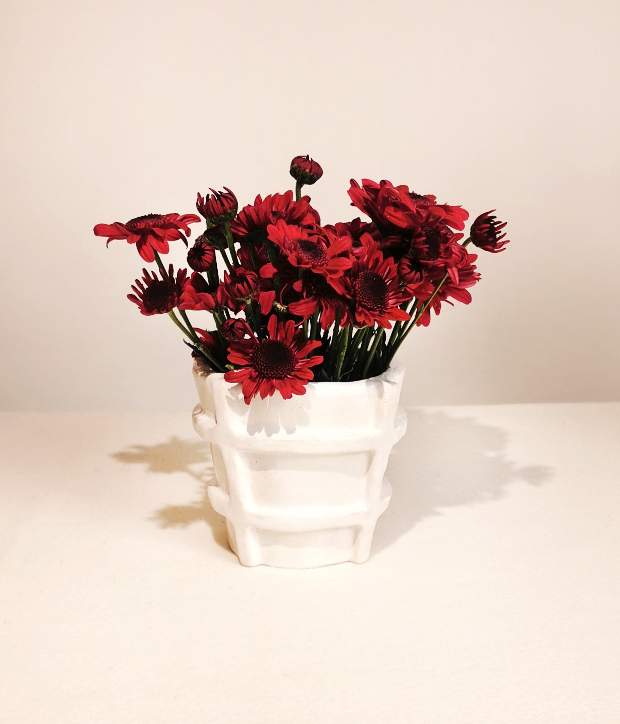 POT Vases - POT