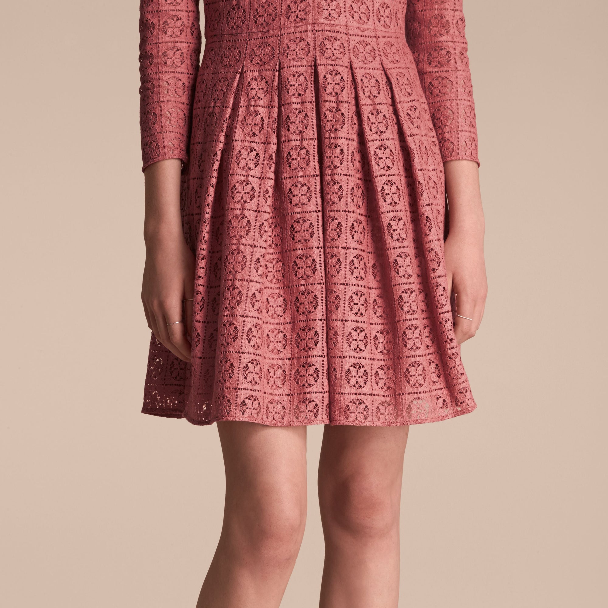 Robe ajustée et évasée en dentelle - Dusty Peony Rose