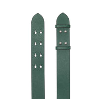 Ceinture du sac The Belt moyen en cuir grainé - Sea Green