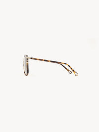 Lunettes de soleil West - Havana