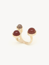 Bague Zodiac lion en laiton - Multicolor