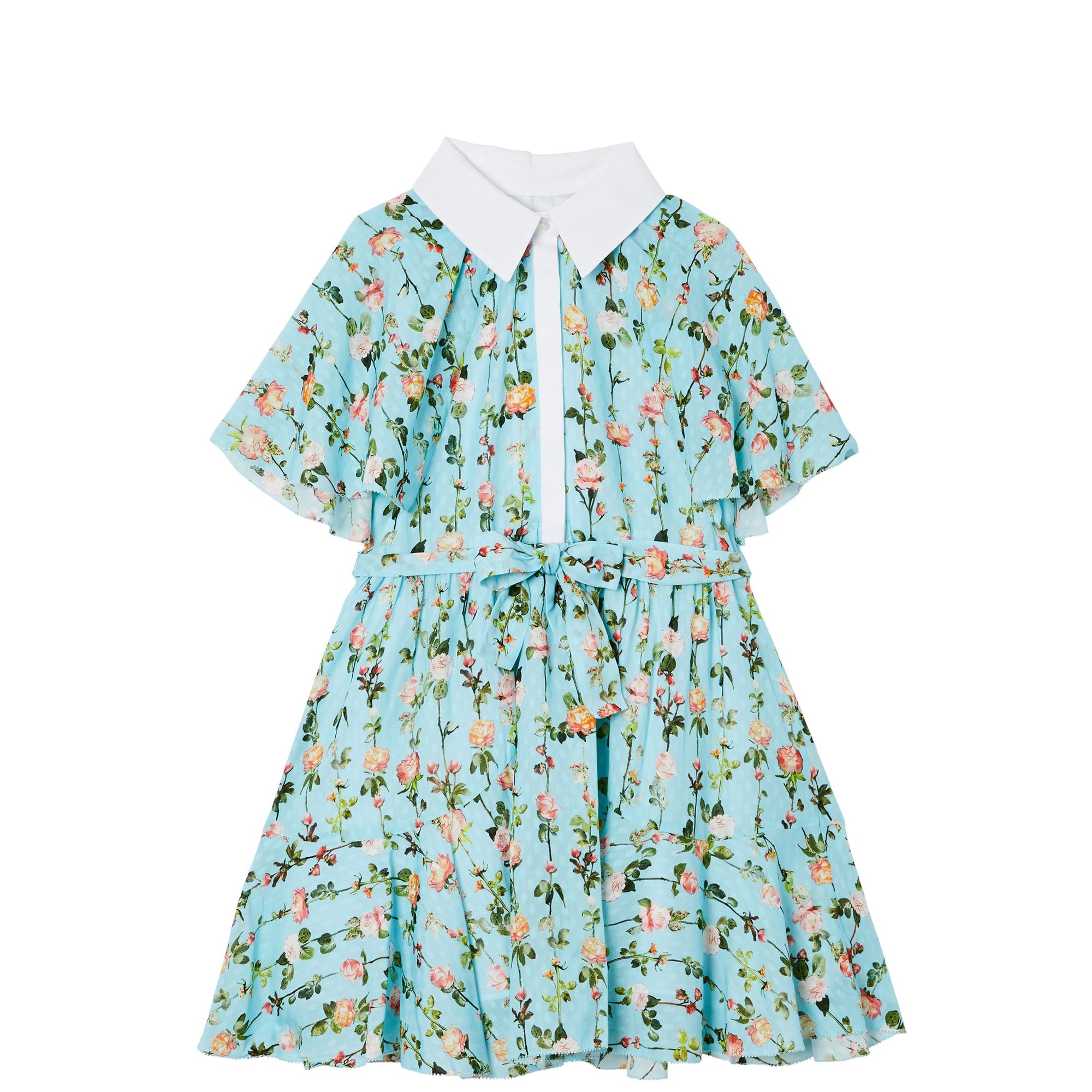 Robe à manches courtes à imprimé roses avec cape - Blue Topaz