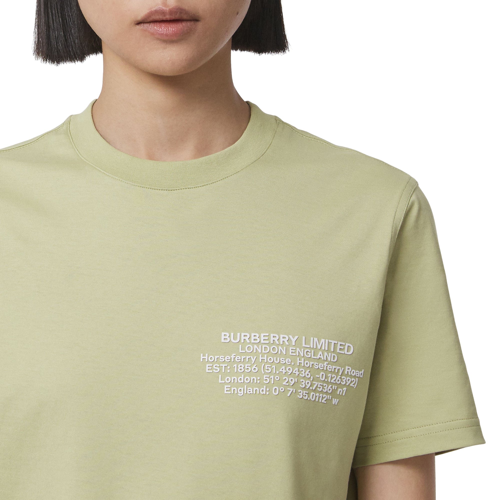 T-shirt en coton avec coordonnées géographiques - Mist Green