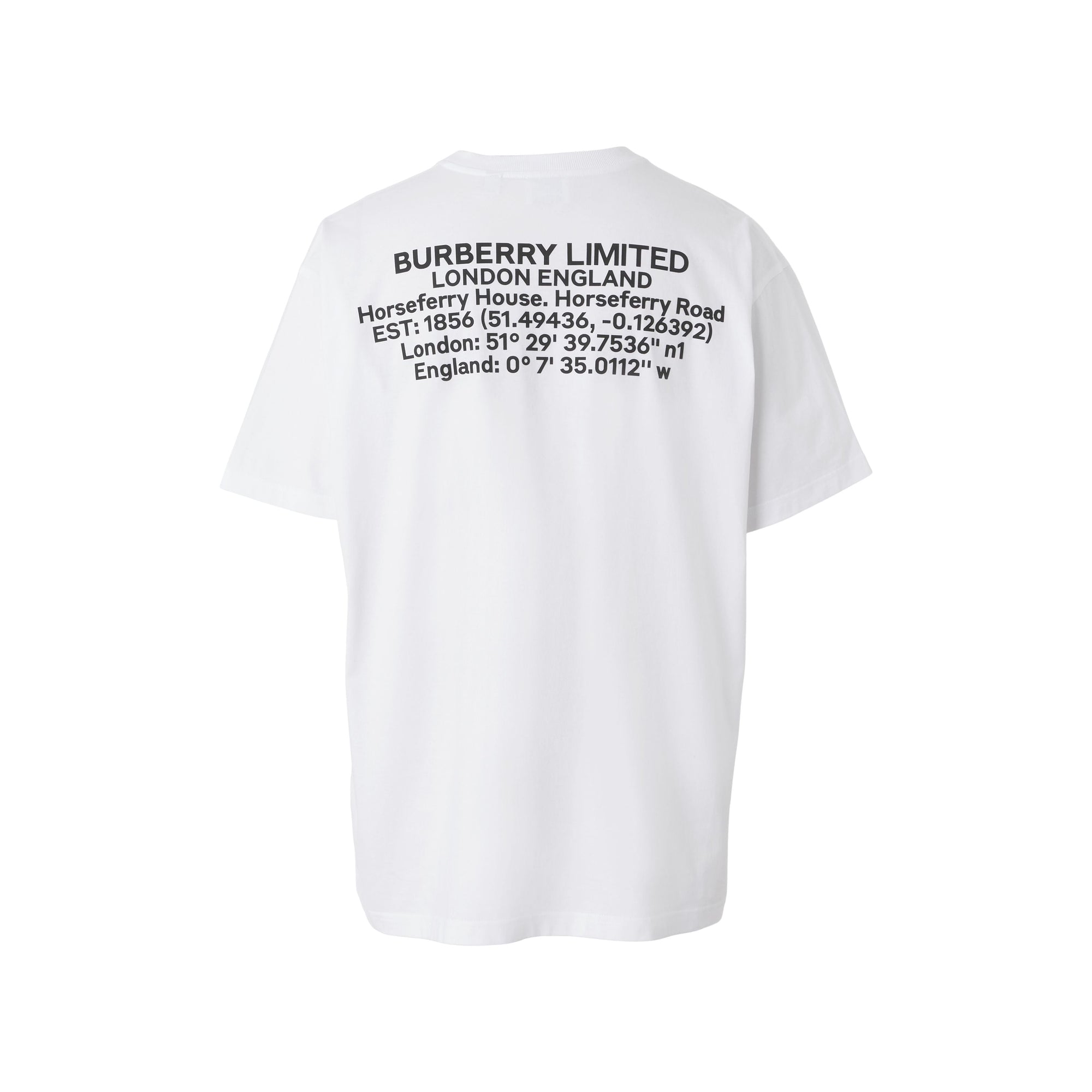 T-shirt oversize en coton à coordonnées - White