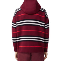 Hoodie oversize en laine à rayures iconiques - Deep Mulberry