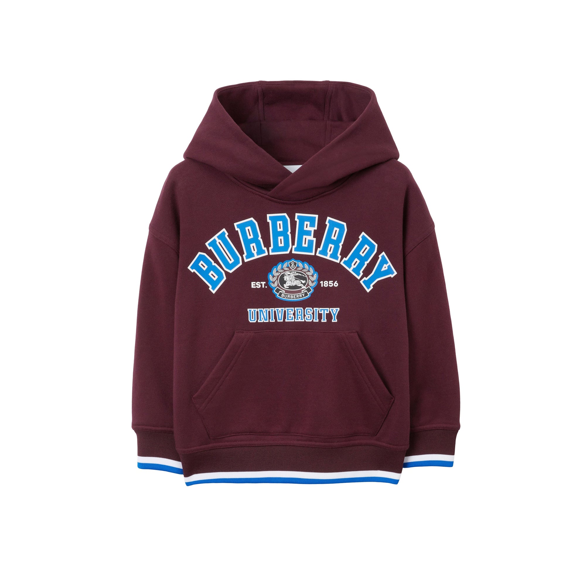 Sweat à capuche en coton à motif campus - Deep Maroon
