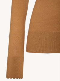 Pull en tricot mérinos super fin - Marron