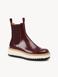 Bottines Kurtys en cuir - Obscure Purple