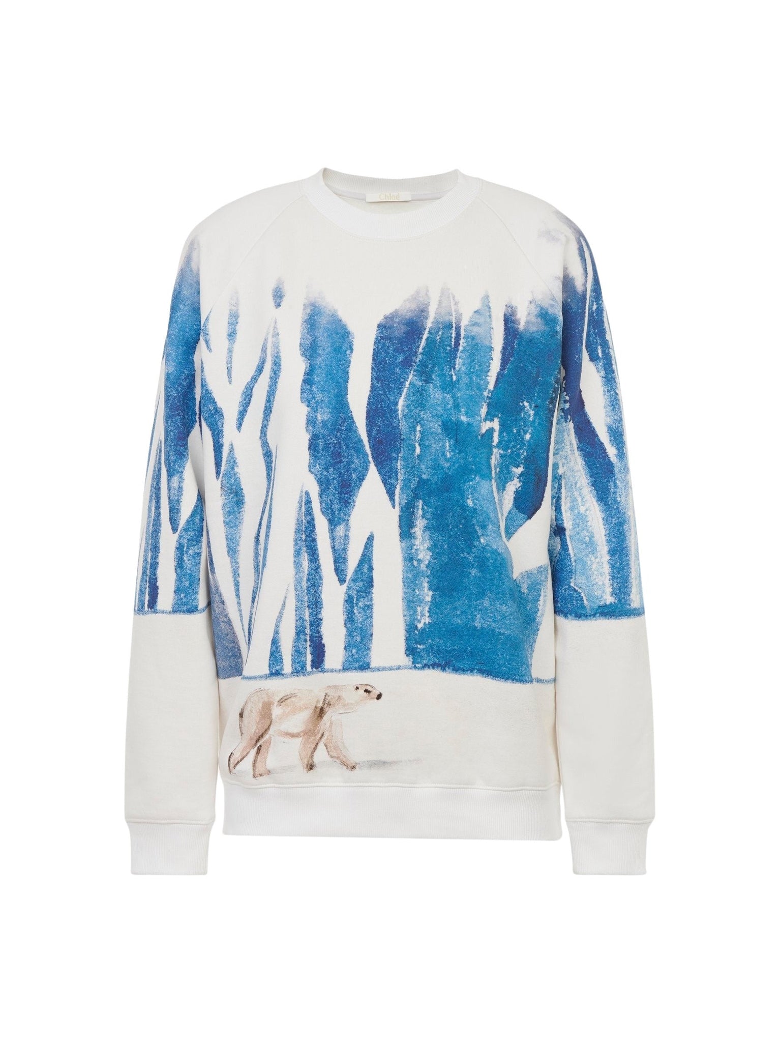 Pull imprimé ours polaire - Artic Ice
