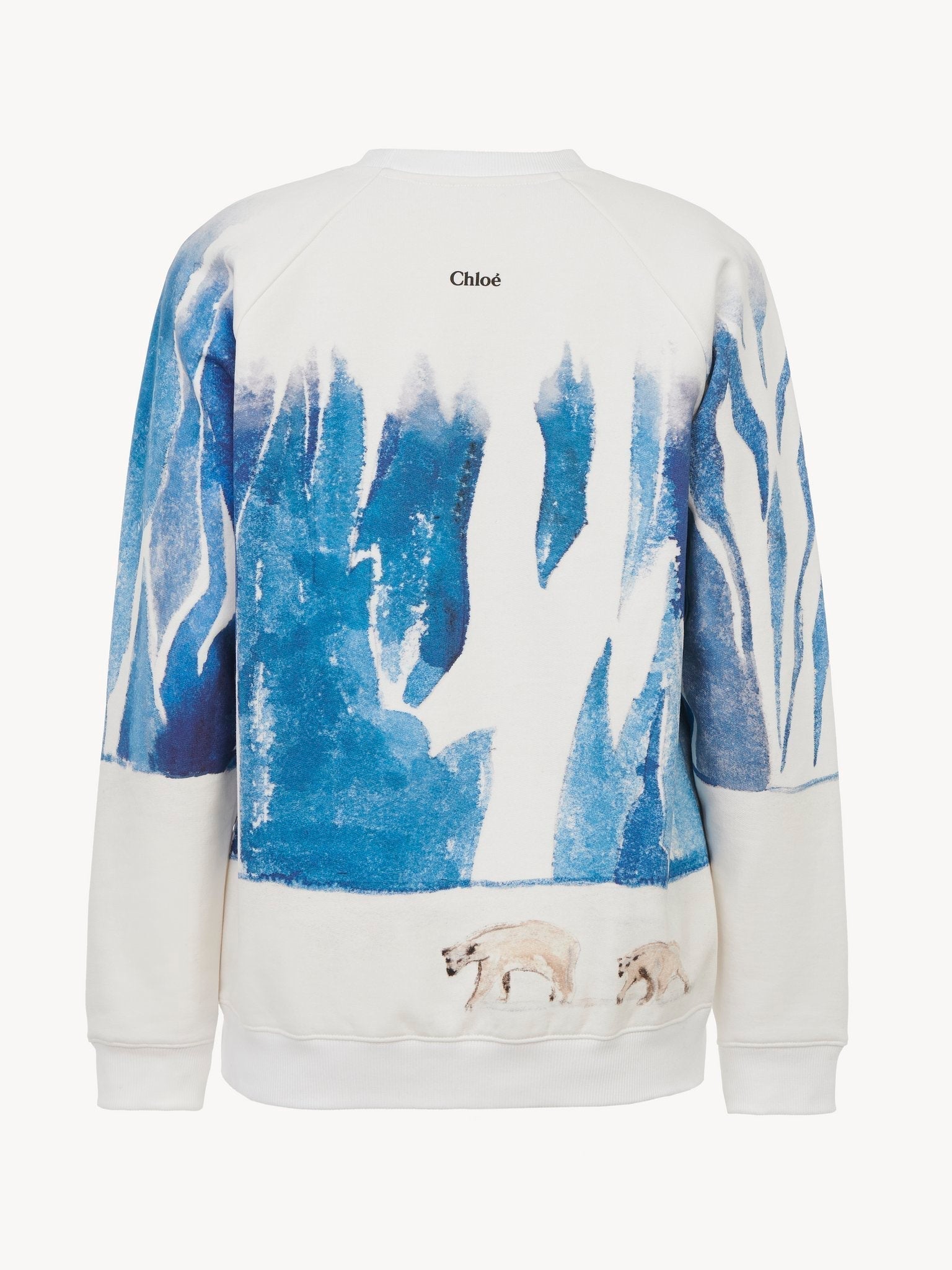 Pull imprimé ours polaire - Artic Ice