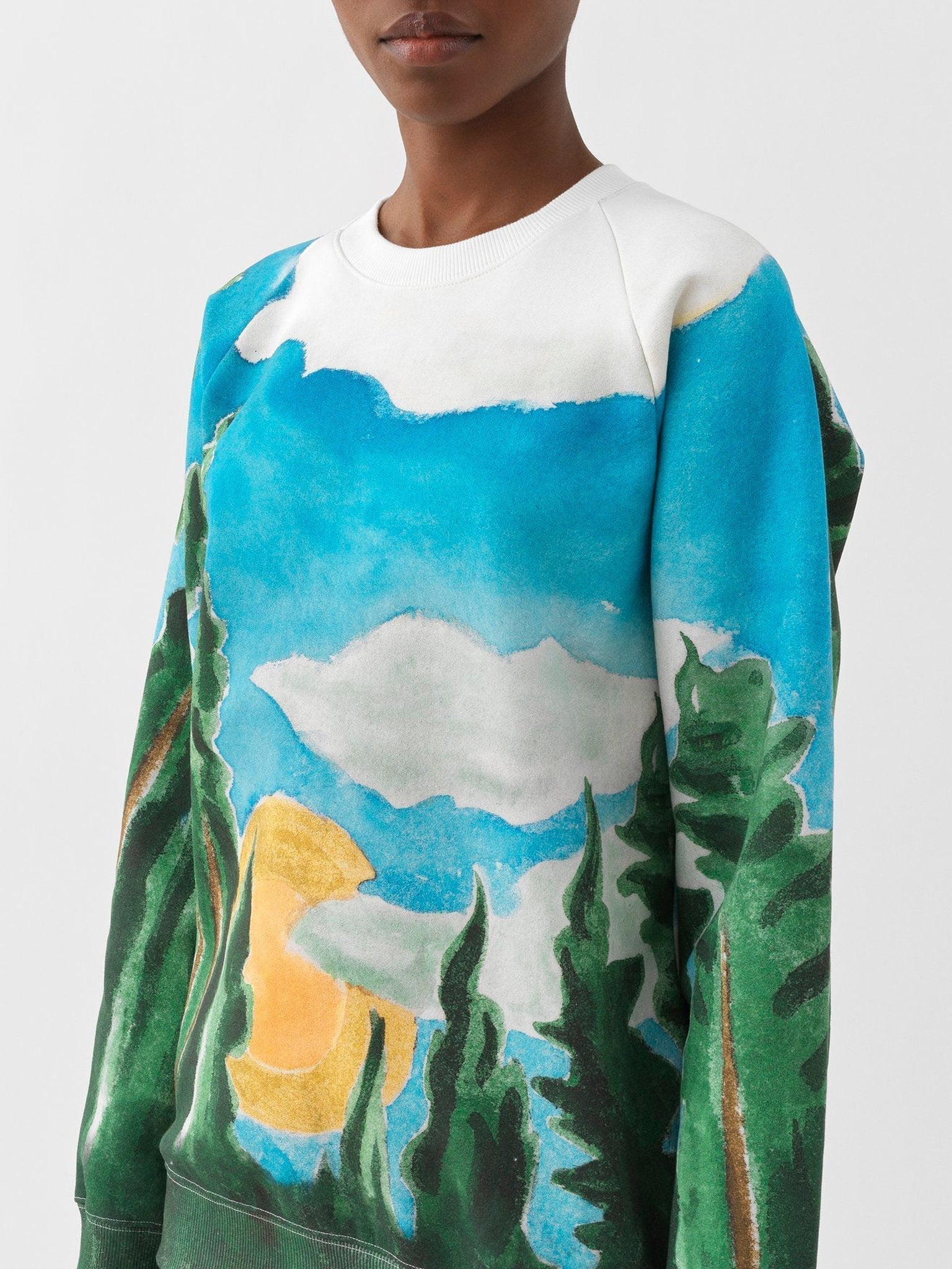 Pull imprimé forêt - True Forest