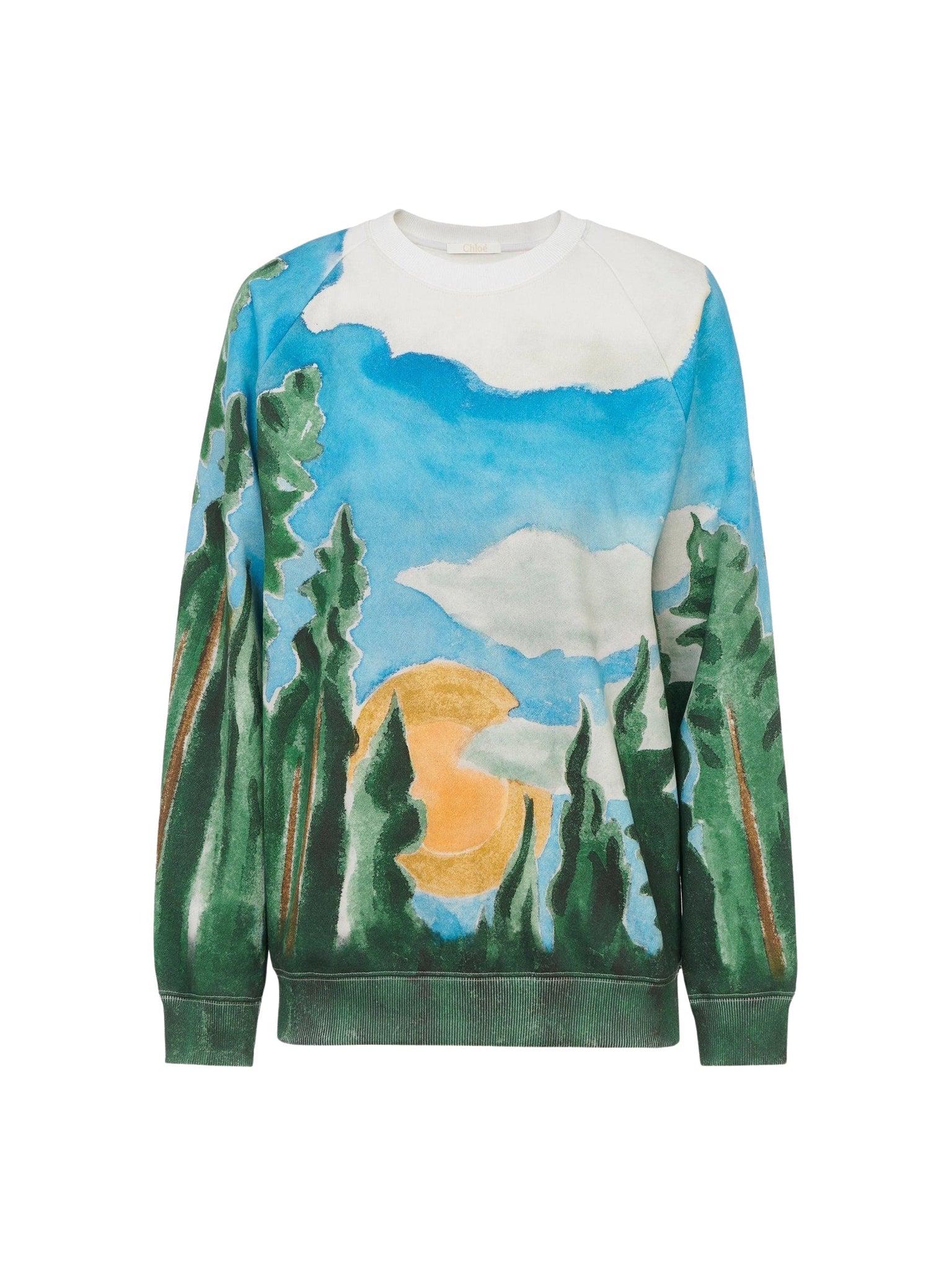 Pull imprimé forêt - True Forest