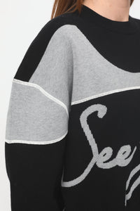 Pull en maille double face à logo - Charcoal Black