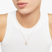 Scorpio rose gold & silver Charm - Rose Gold & Silver