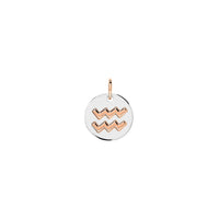 Aquarius rose gold & silver Charm - Rose Gold & Silver
