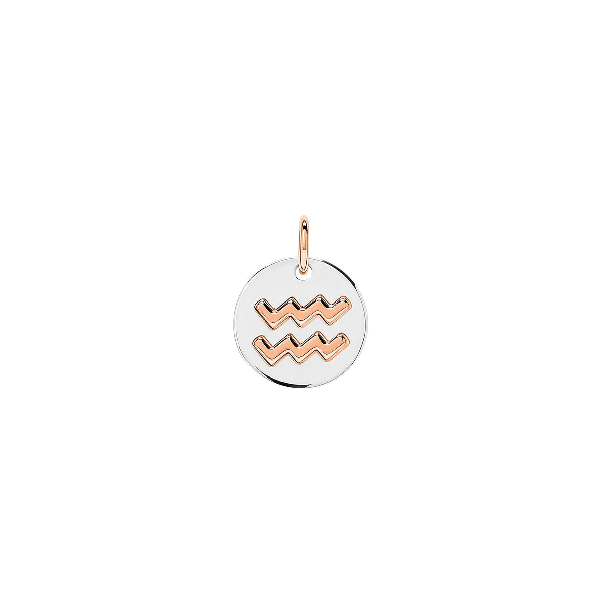 Aquarius rose gold & silver Charm - Rose Gold & Silver