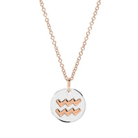 Aquarius rose gold & silver Charm - Rose Gold & Silver