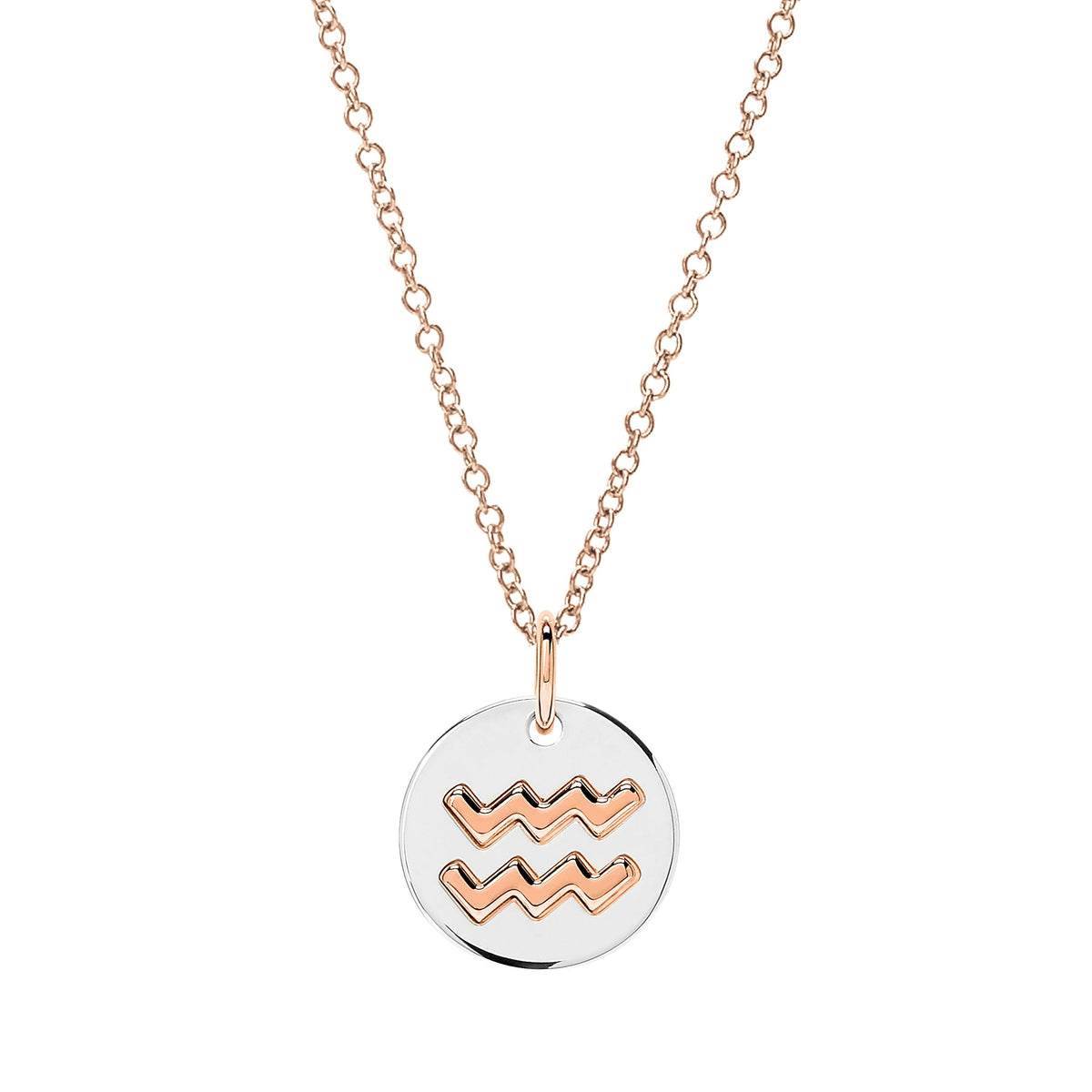 Aquarius rose gold & silver Charm - Rose Gold & Silver