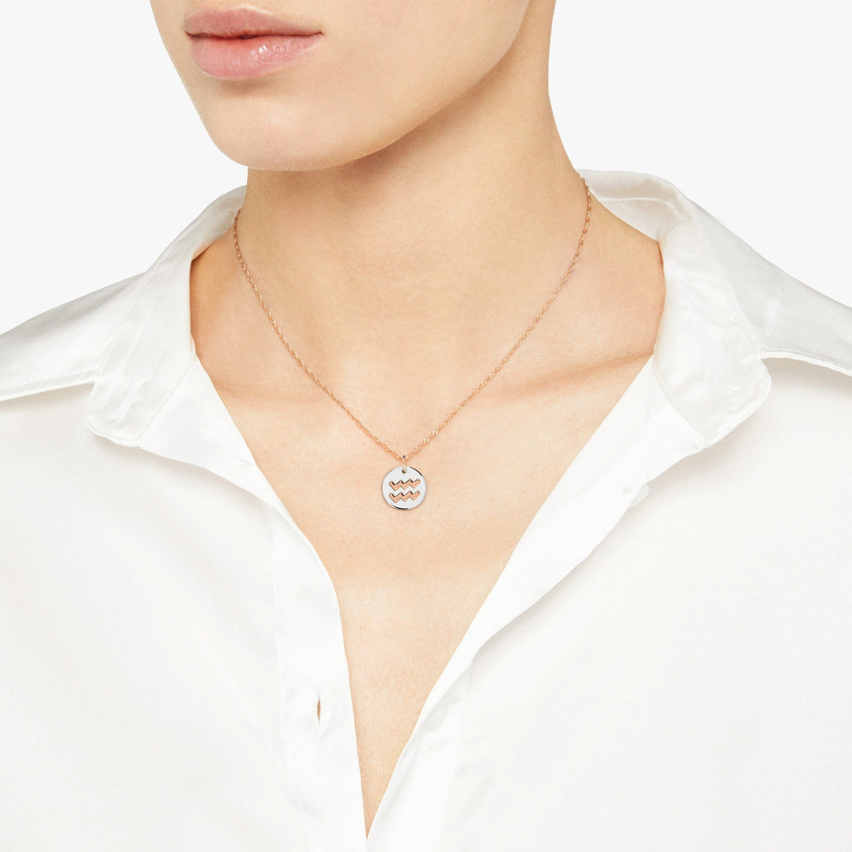 Aquarius rose gold & silver Charm - Rose Gold & Silver