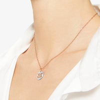 Aquarius rose gold & silver Charm - Rose Gold & Silver