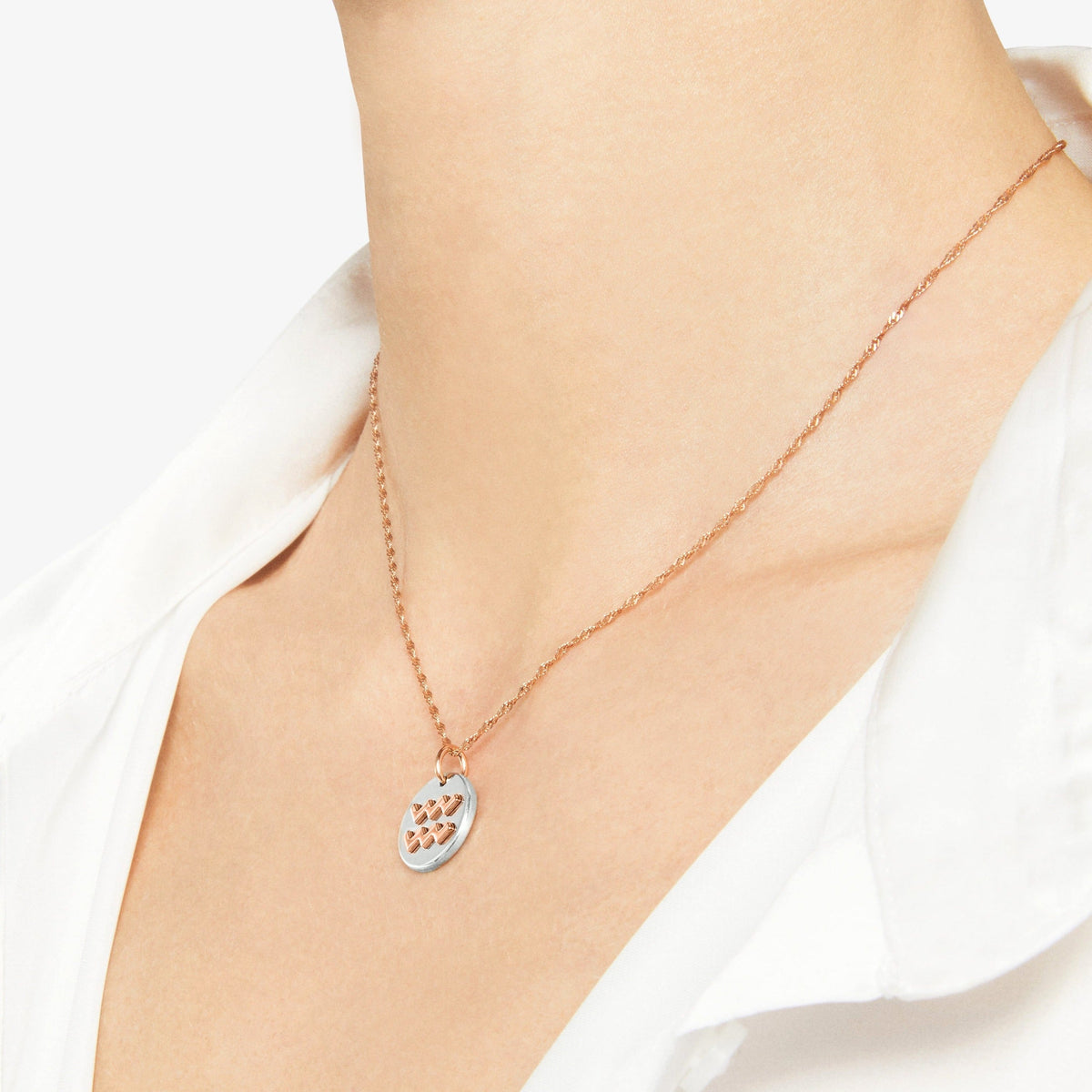 Aquarius rose gold & silver Charm - Rose Gold & Silver