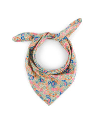 Foulard Bonjour - Bleu